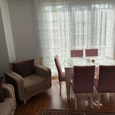 Sehir Ve Orman Manzarali Istanbul