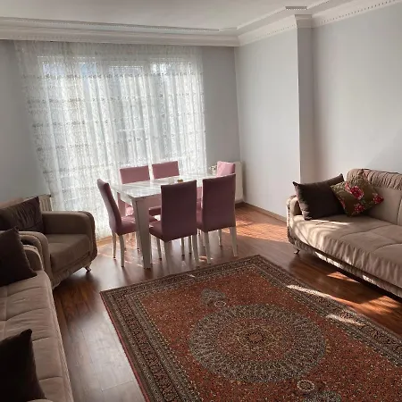 Sehir Ve Orman Manzarali * Istanbul