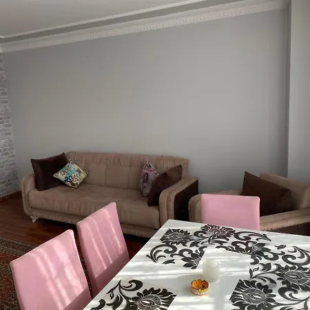 Sehir Ve Orman Manzarali