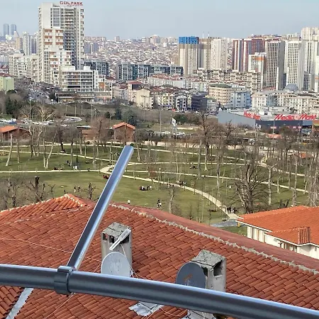 Sehir Ve Orman Manzarali